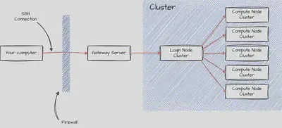 Setup of the cluster